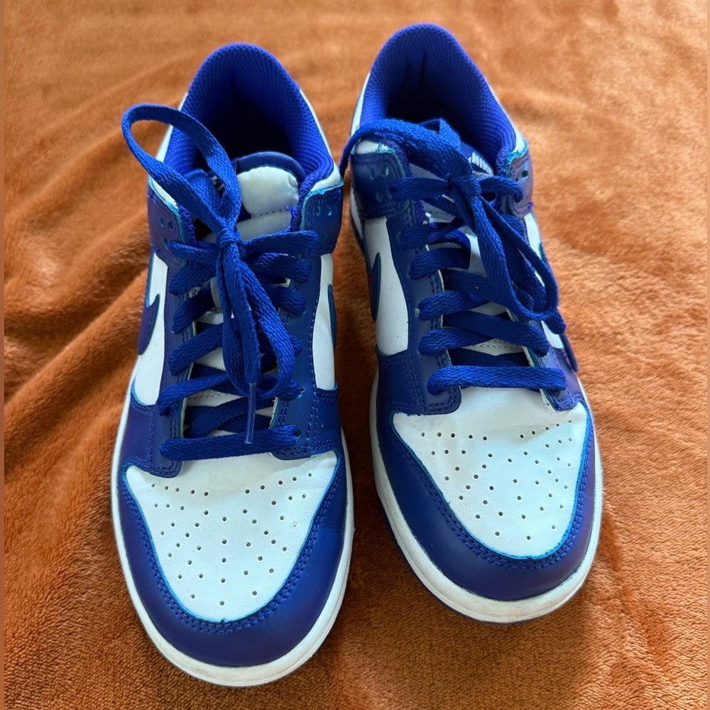 Nike Royal Blue and White sneakers